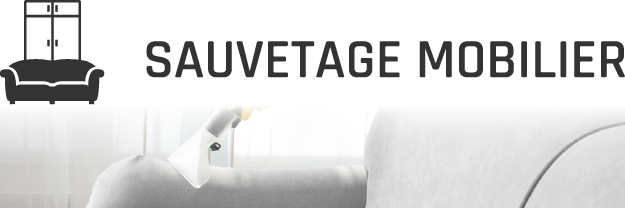 SAUVETAGE MOBILIER